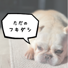 ただのフキタシ